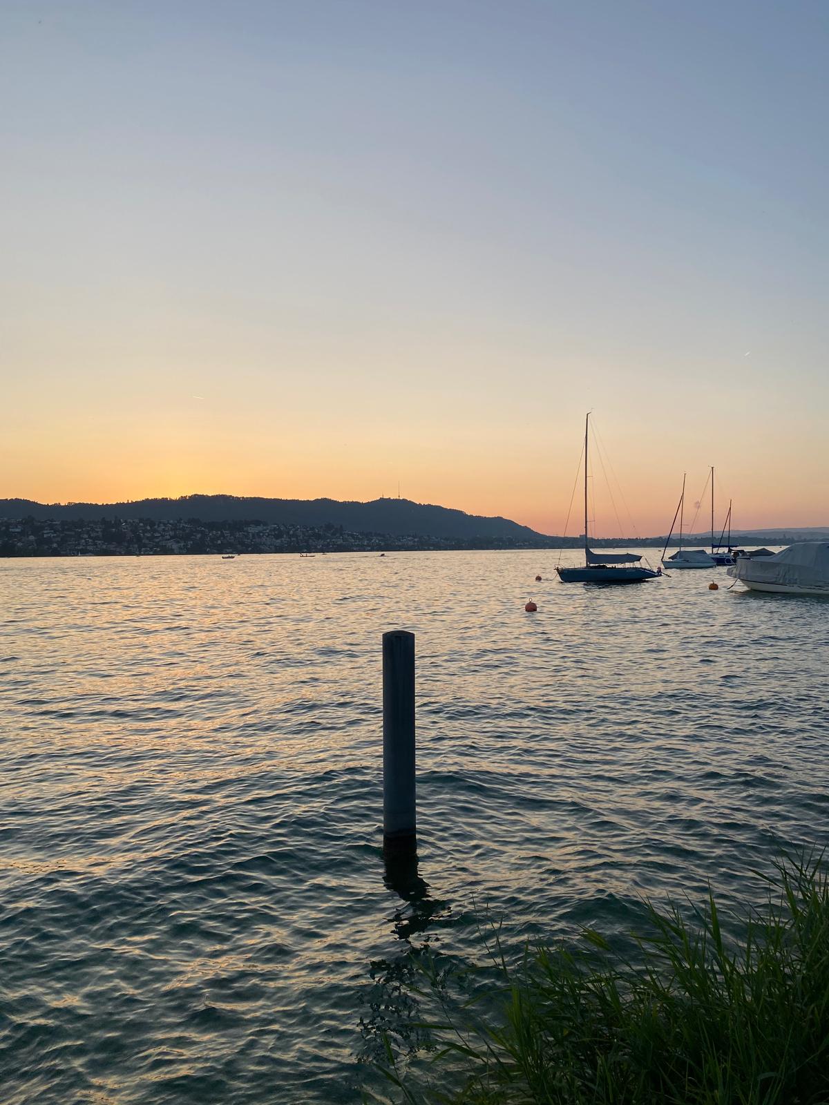 Sunset Notes from Zurich - 01: Quiet insights - Off White & Wood - est. 2026