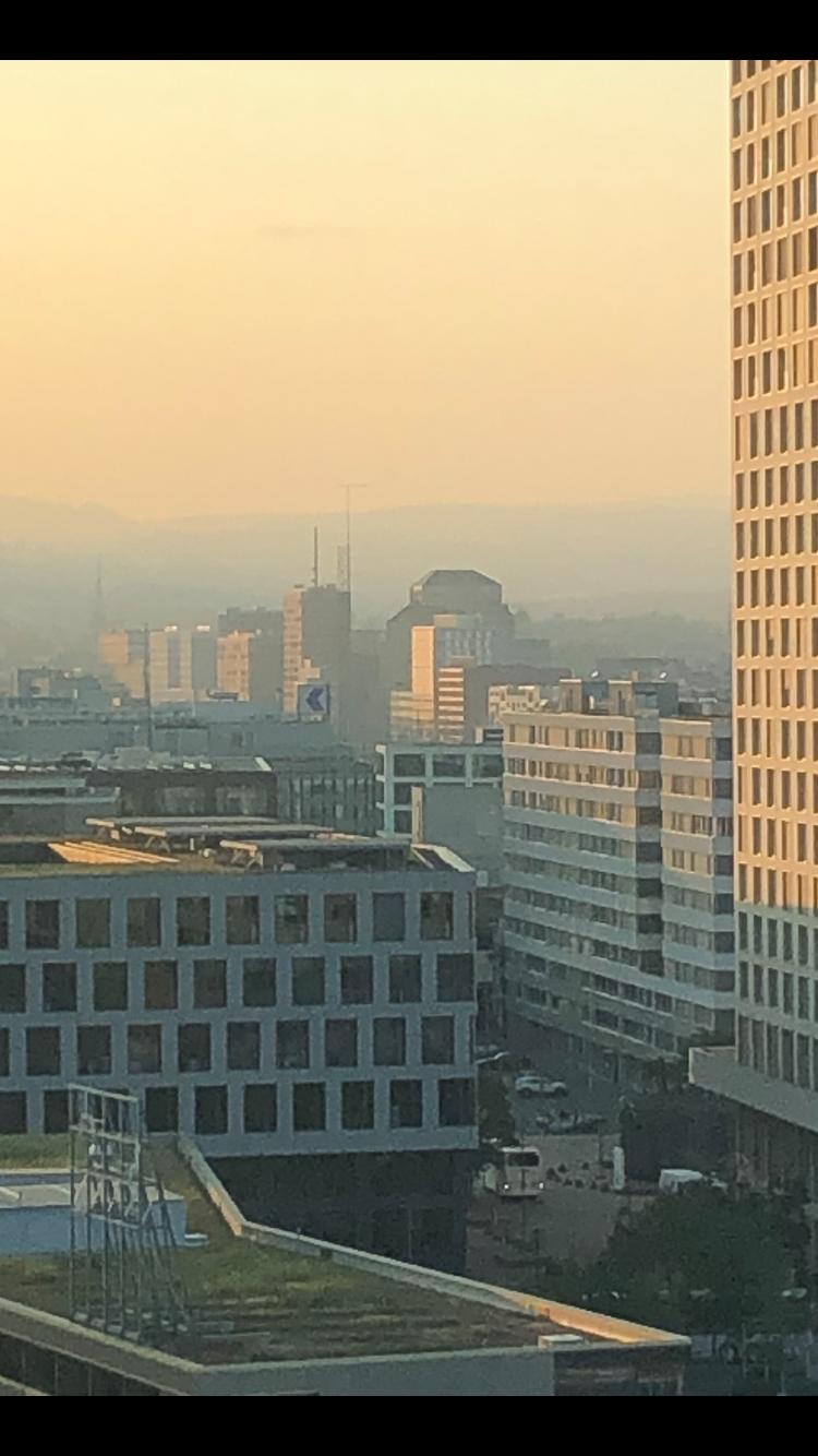 Morning Notes from Zurich — 04: Ordinary Mornings - Off White & Wood - est. 2026